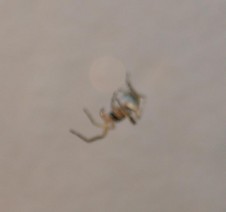 Enlarge photo 16
