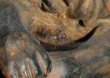 Enlarge photo 6