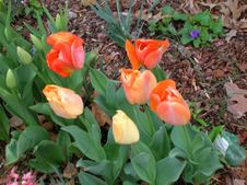 Enlarge photo 14