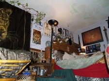 Enlarge photo 2