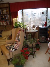 Enlarge photo 5