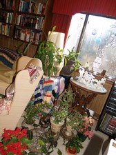 Enlarge photo 6