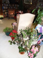 Enlarge photo 8