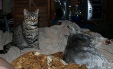 Enlarge photo 4