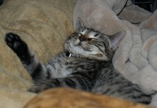 Enlarge photo 8