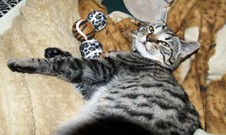 Enlarge photo 10