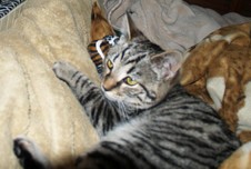 Enlarge photo 12
