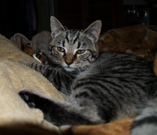 Enlarge photo 13