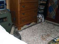 Enlarge photo 14