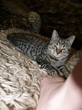 Enlarge photo 15