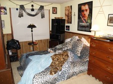 Enlarge photo 8