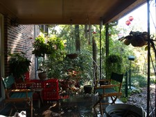 Enlarge photo 11
