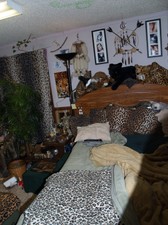 Enlarge photo 2