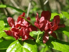 Enlarge photo 31