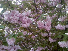 Enlarge photo 122