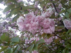 Enlarge photo 123