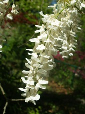 Enlarge photo 35