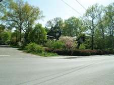 Enlarge photo 36