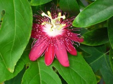 Enlarge photo 116