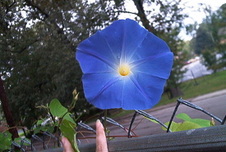Enlarge photo 117