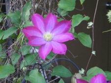 Enlarge photo 13