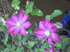 Enlarge photo 14