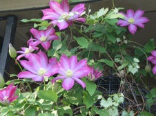 Enlarge photo 15