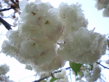 Enlarge photo 18