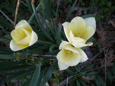 Enlarge photo 19