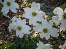 Enlarge photo 20