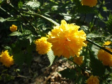 Enlarge photo 23