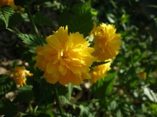 Enlarge photo 25