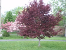 Enlarge photo 26