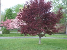 Enlarge photo 27