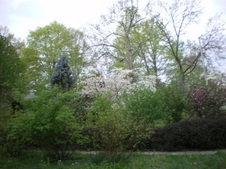 Enlarge photo 28