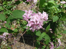 Enlarge photo 53