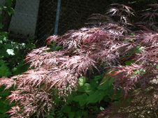 Enlarge photo 56
