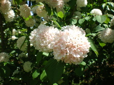 Enlarge photo 64