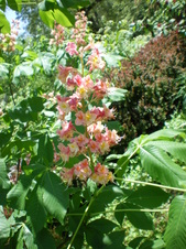 Enlarge photo 65