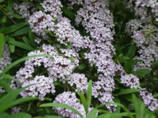 Enlarge photo 97