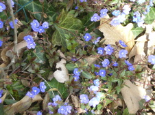 Enlarge photo 127