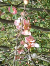 Enlarge photo 128