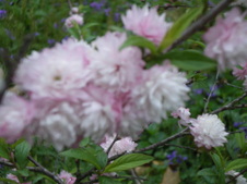 Enlarge photo 105