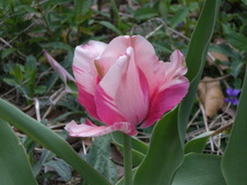 Enlarge photo 106