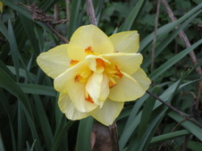 Enlarge photo 107