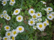 Enlarge photo 110
