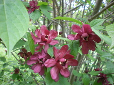 Enlarge photo 112