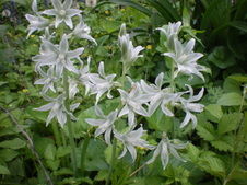 Enlarge photo 115