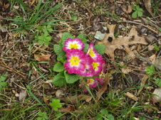 Enlarge photo 7