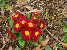 Enlarge photo 10